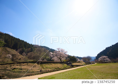 満開の桜のある風景・朝倉氏遺跡 138745250