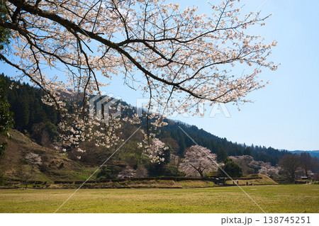 満開の桜のある風景・朝倉氏遺跡 満開の桜のある風景・朝倉氏遺跡 138745251
