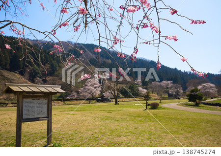 満開の桜のある風景・朝倉氏遺跡 満開の桜のある風景・朝倉氏遺跡 138745274