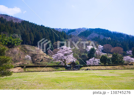 満開の桜のある風景・朝倉氏遺跡 満開の桜のある風景・朝倉氏遺跡 138745276