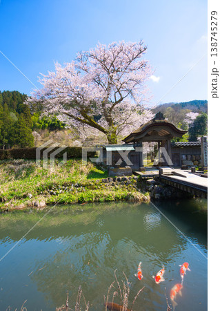 満開の桜のある風景・朝倉氏遺跡 満開の桜のある風景・朝倉氏遺跡 138745279