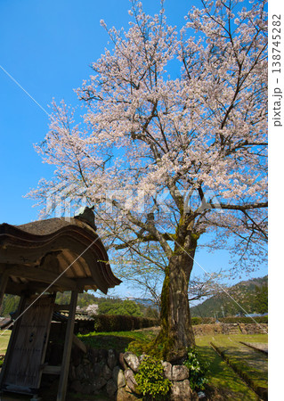 満開の桜のある風景・朝倉氏遺跡 満開の桜のある風景・朝倉氏遺跡 138745282