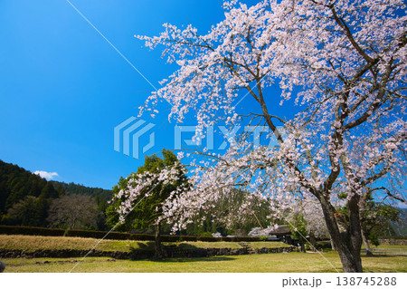 満開の桜のある風景・朝倉氏遺跡 138745288