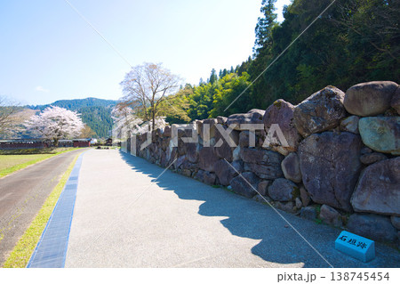 一乗谷朝倉氏遺跡・西山光照寺跡の春 一乗谷朝倉氏遺跡・西山光照寺跡の春 138745454