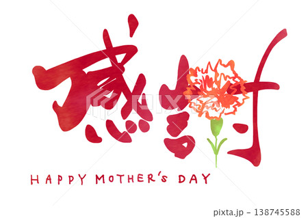 母の日に使える筆文字　感謝（カーネーション）HAPPY MOTHER'S DAY .n 138745588