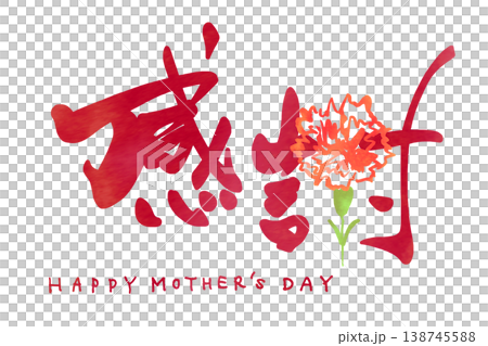 母の日に使える筆文字　感謝（カーネーション）HAPPY MOTHER'S DAY .n 138745588