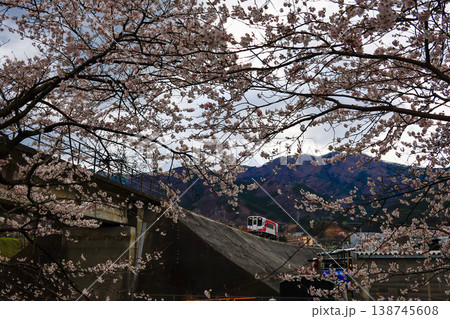 桜と三陸鉄道 138745608