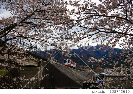桜と三陸鉄道 138745610