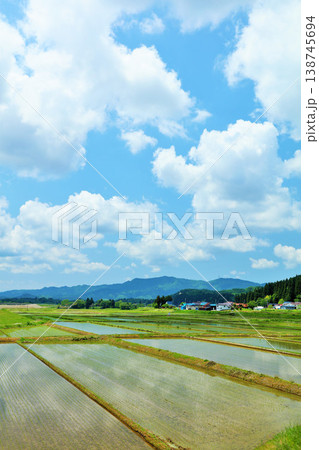 秋田県 青空と白い雲の水田風景 秋田県 青空と白い雲の水田風景 138745694