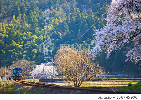 桜咲く中を走るローカル線 138745900