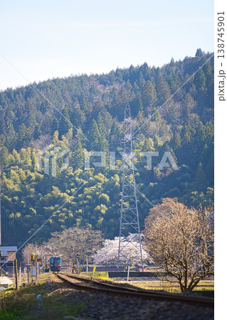 桜咲く中を走るローカル線 桜咲く中を走るローカル線 138745901