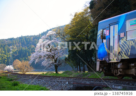 桜咲く中を走るローカル線 桜咲く中を走るローカル線 138745916