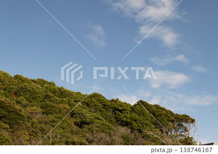 秋の森と青い空 秋の森と青い空 138746167