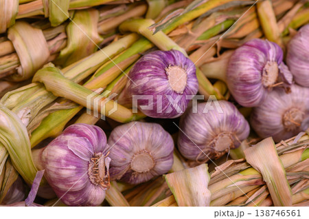 Vibrant garlic bulbs tied with natural fibers, showcasing fresh produce in a rustic market setting during harvest season 138746561
