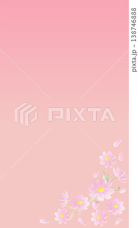 コスモスの背景イラスト 秋の背景 コスモスの背景イラスト 秋の背景 138746888