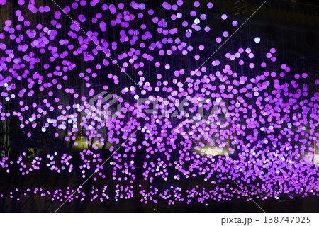 Purple light bulbs festive lighting installation 138747025