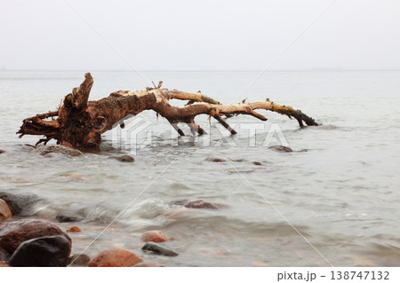 Stones in sea water autumn Stones in sea water autumn 138747132