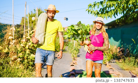 Couple harvesting fresh organic vegetables from home garden 138747635