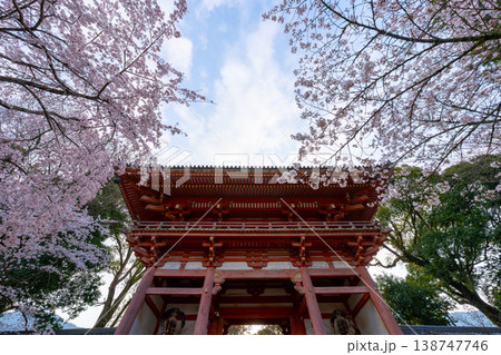 京都　醍醐寺と桜の風景 138747746