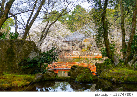 京都　醍醐寺と桜の風景 138747807