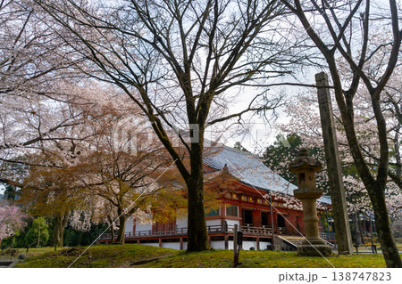 京都　醍醐寺と桜の風景 138747823