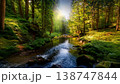 光が差し込む森の小川と苔むす岩【自然・森・イラスト】 138747844