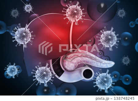 Human liver with  hepatitis viruses 138748245