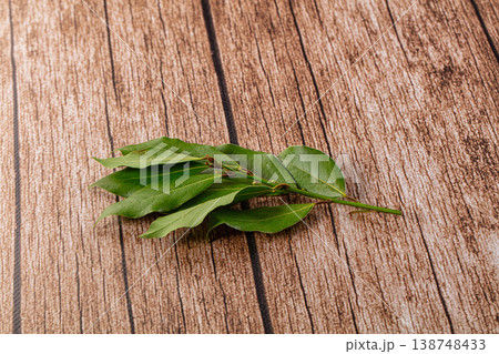 Fresh green laurel leves for cooking Fresh green laurel leves for cooking 138748433