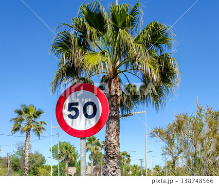 50 kmh Speed Limit Sign with Blue Sky and Palm Tree Background 50 kmh Speed Limit Sign with Blue Sky and Palm Tree Background 138748566