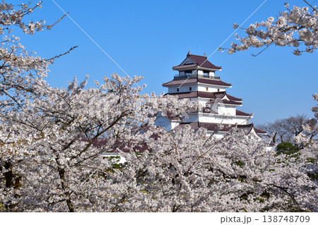春 桜 会津若松城 春 桜 会津若松城 138748709
