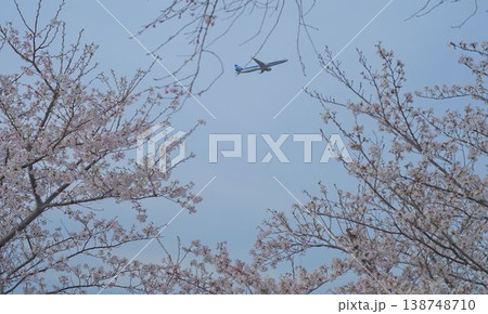 桜とともに新たな出発 138748710