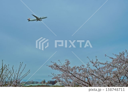桜とともに新たな出発 桜とともに新たな出発 138748711