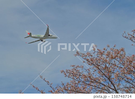 桜とともに新たな出発 桜とともに新たな出発 138748714