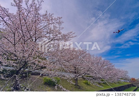 桜とともに新たな出発 桜とともに新たな出発 138748716