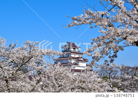 春 桜 会津若松城 春 桜 会津若松城 138748751