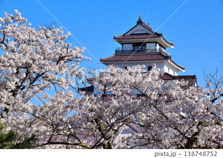春　桜　会津若松城 138748752
