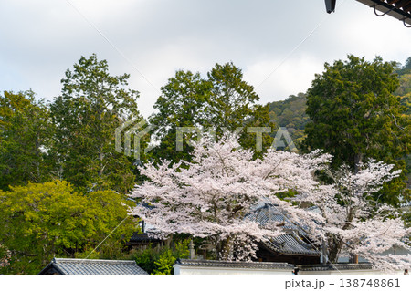 2026年 京都 南禅寺周辺の風景 138748861