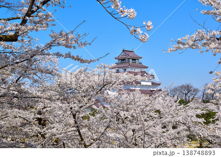 春　桜　会津若松城 138748893