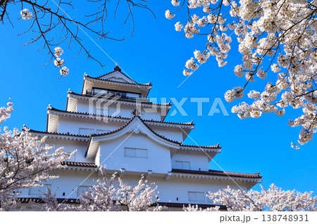 春 桜 会津若松城 春 桜 会津若松城 138748931