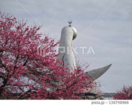 八重桜のある風景 138748966