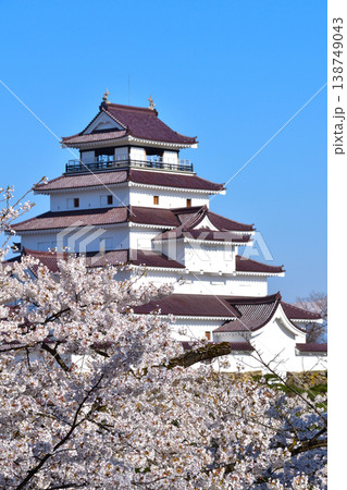 春　桜　会津若松城 138749043