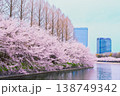 桜咲く大阪城公園 138749342