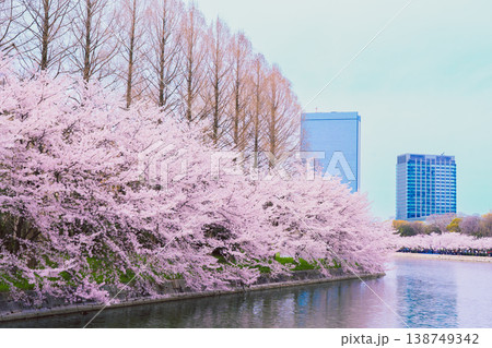 桜咲く大阪城公園 桜咲く大阪城公園 138749342