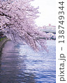 しだれ桜と水面 138749344