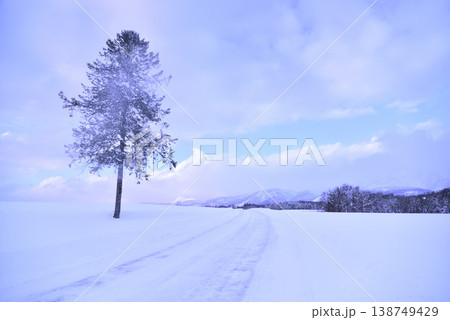 北海道の雪景色 北海道の雪景色 138749429