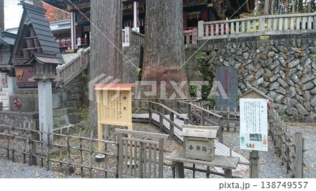 埼玉県秩父市！三峯神社の御神木 138749557