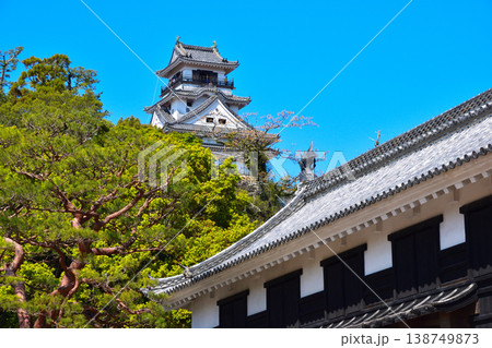 高知城 天守 追手門 高知城 天守 追手門 138749873