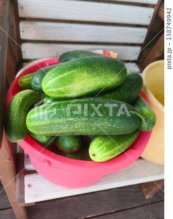Bright pink bowl holds fresh green cucumbers on wooden deck Bright pink bowl holds fresh green cucumbers on wooden deck 138749942