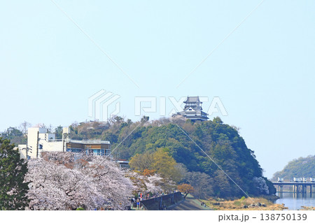 愛知県犬山市、犬山城と桜の風景 愛知県犬山市、犬山城と桜の風景 138750139