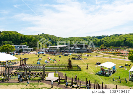 国営越後丘陵公園　広大な公園　遊びつくす　夏晴れの青空　新潟県長岡市宮本東方町字三ツ又 138750417